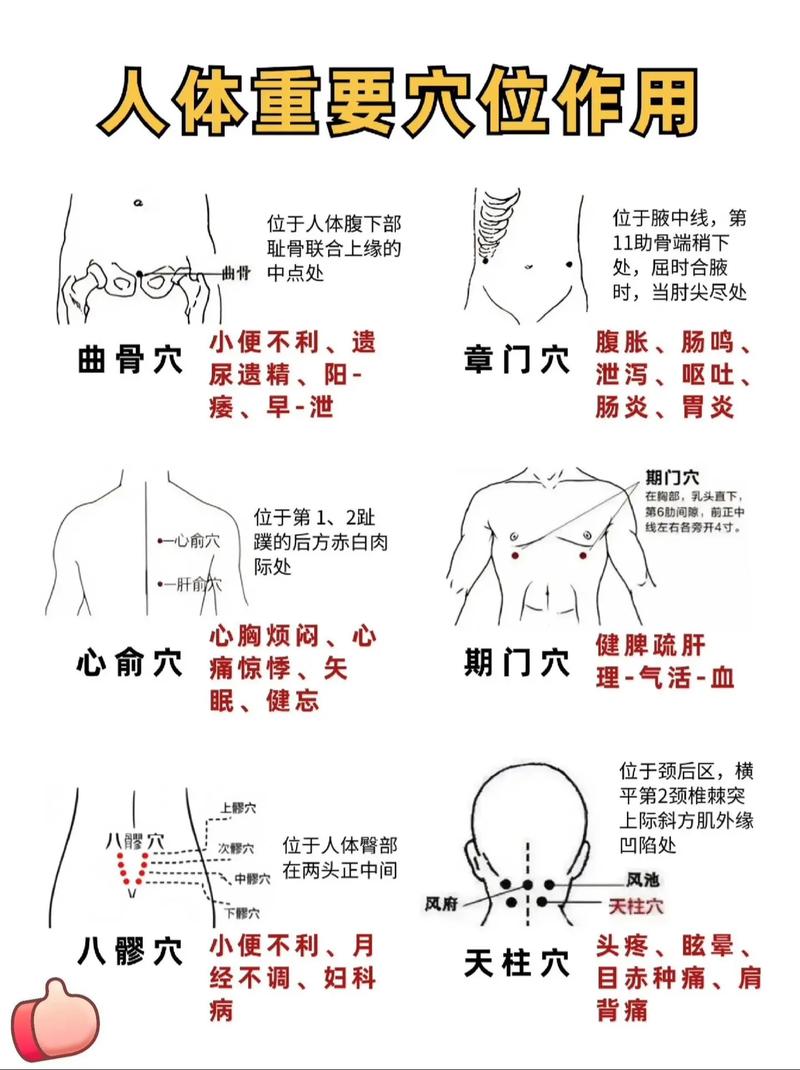 最新国家标准针灸穴位图