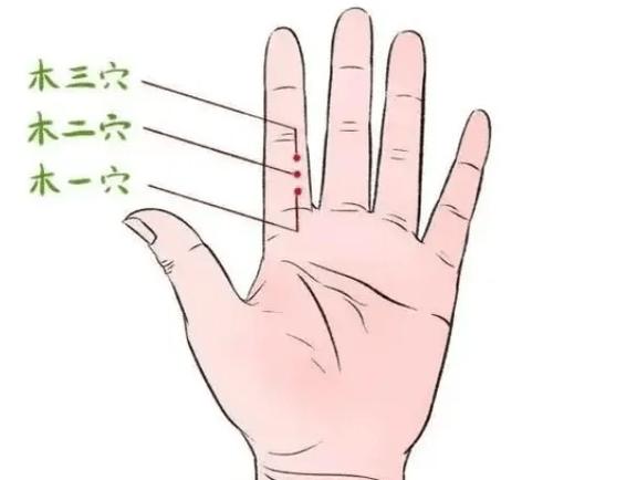 大拇指和食指之间的穴位