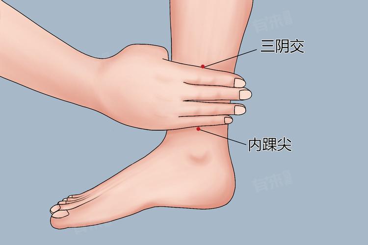 三阴交穴位的准确位置图