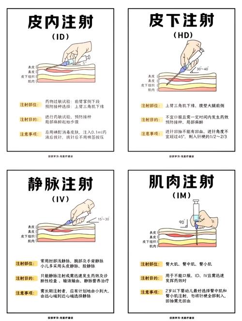 鼠神经生长因子穴位注射