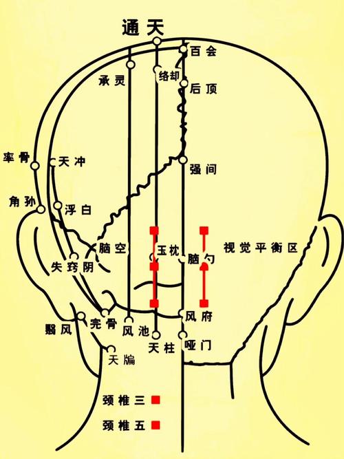 头部穴位图解大全 高清