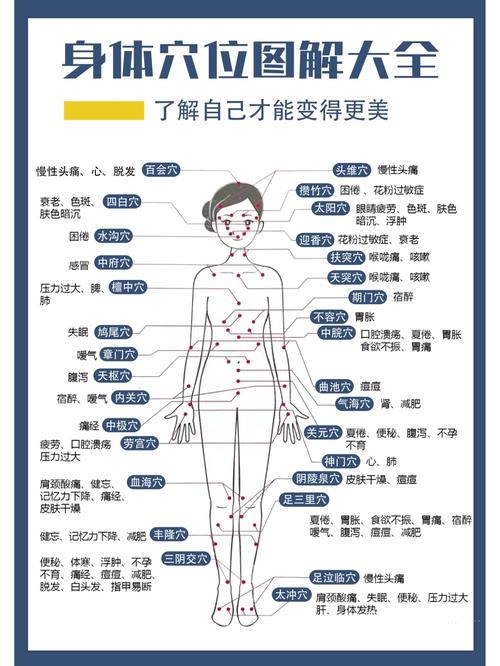 女性穴位图解大全 高清