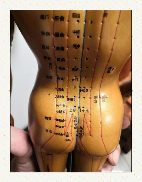 女性提高性欲的按摩穴位