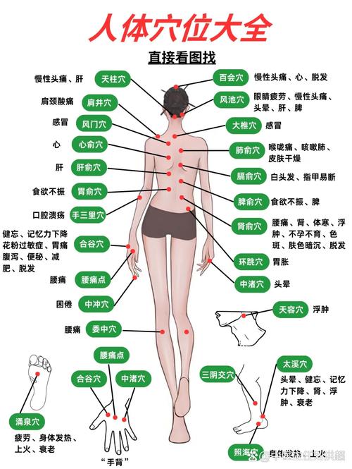 人身上一共有多少个穴位