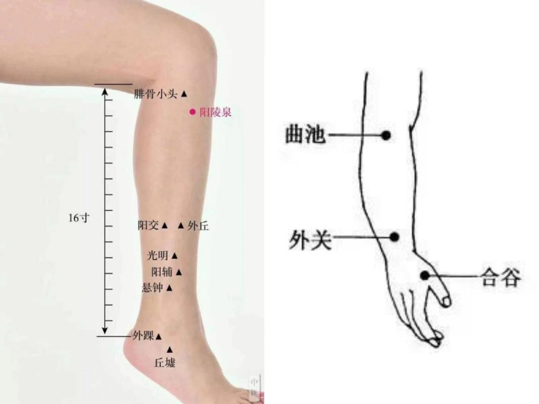 按摩哪个穴位可以降血压