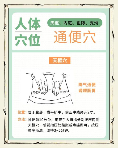 哪些穴位可以快速排便