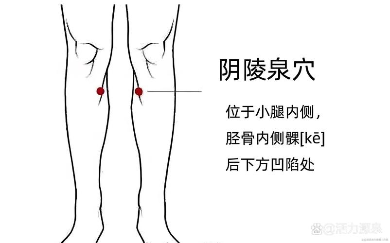 腿部常用治疗按摩穴位