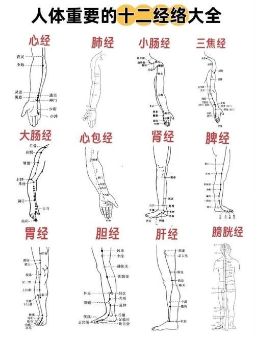 十二经络主要穴位治疗