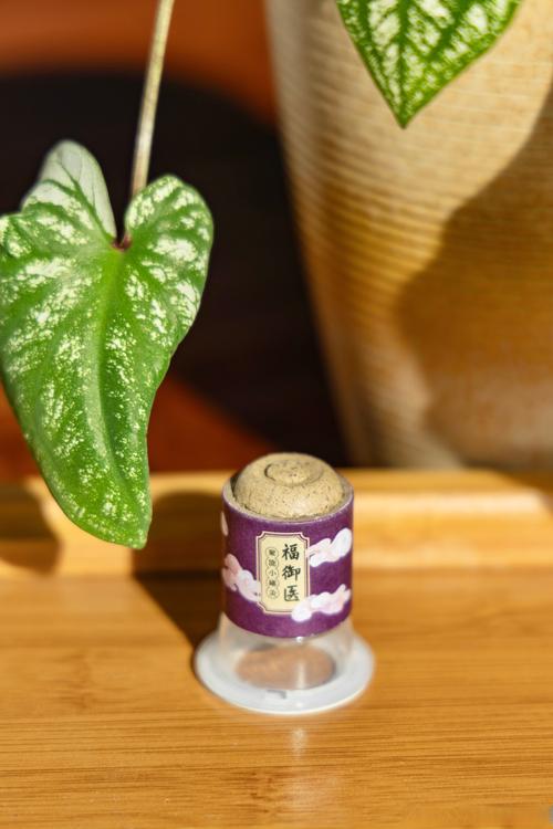 烟熏法 穴位 中草药