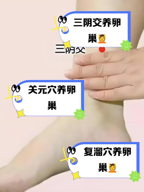 附件囊肿按摩穴位视频