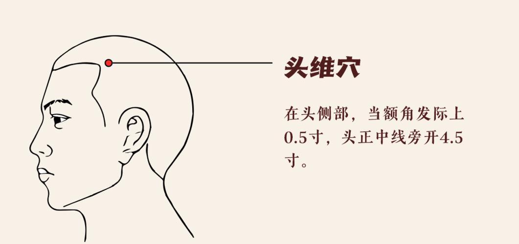 右侧头疼按摩哪个穴位