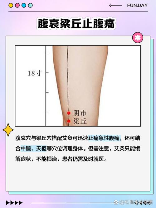 肚子不好按摩那儿穴位