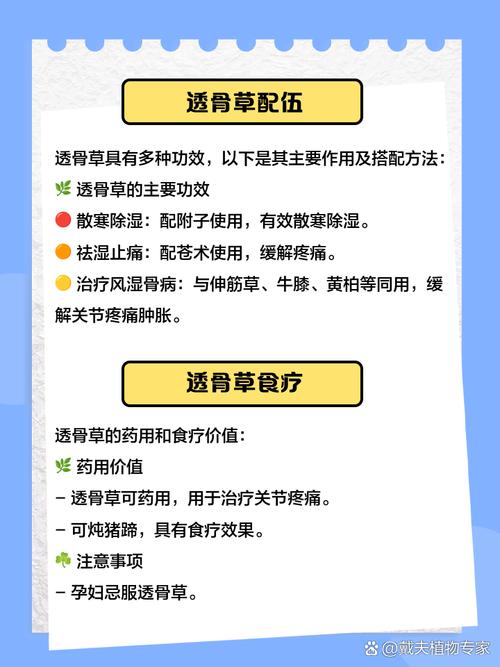 透骨草怎样治风湿类风湿