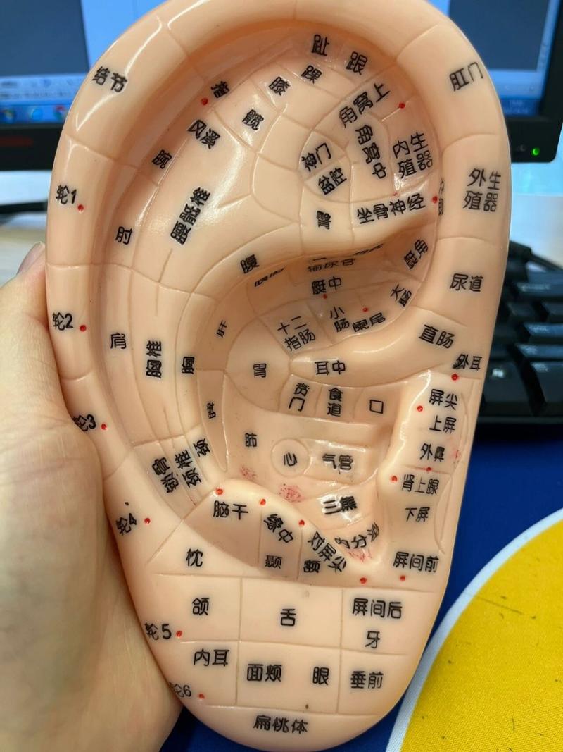 按摩哪些穴位治疗耳鸣