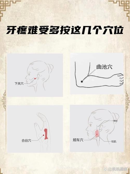 下巴牙龈肿痛按摩穴位