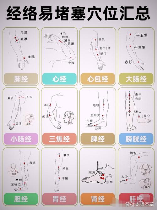按摩穴位经络功能详解