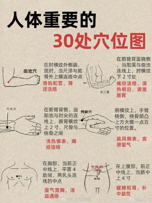 按摩穴位经络功能详解