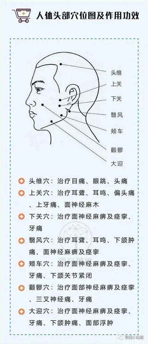人迎 大迎 两处穴位