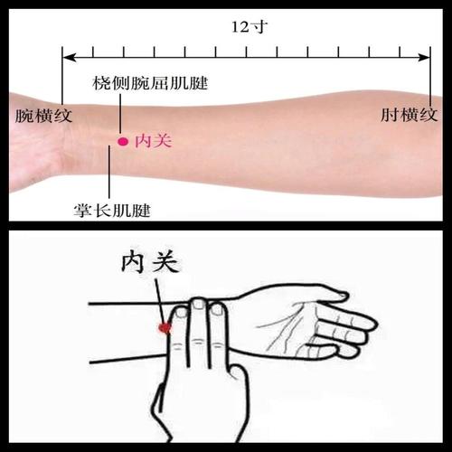 心脏缺血按摩什么穴位