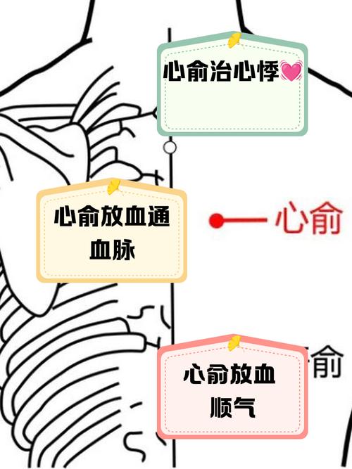 心脏缺血按摩什么穴位