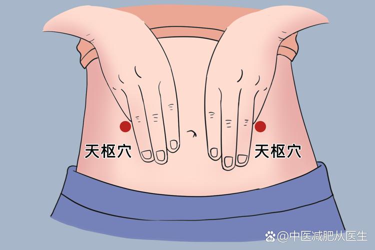 中医穴位按摩减肥视频