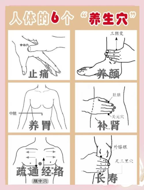 穴位按摩基础讲解视频