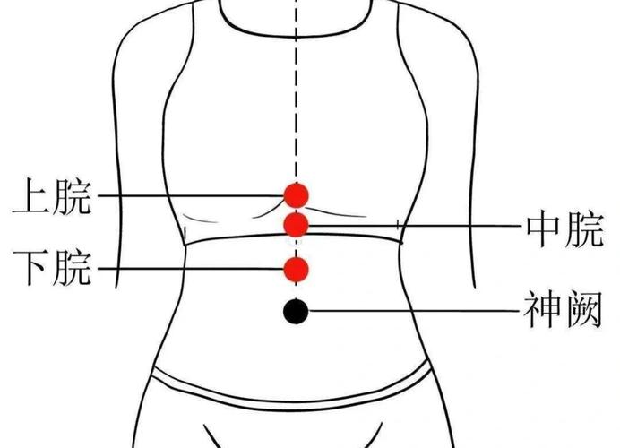 肚子有气排不出 穴位