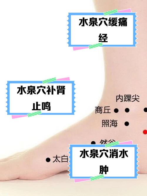 关节积水针灸哪个穴位