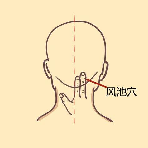 人体风池穴位精确查找