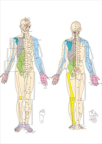 全身穴位准确位置 图