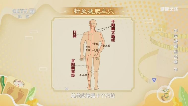 针灸减肥都用哪些穴位