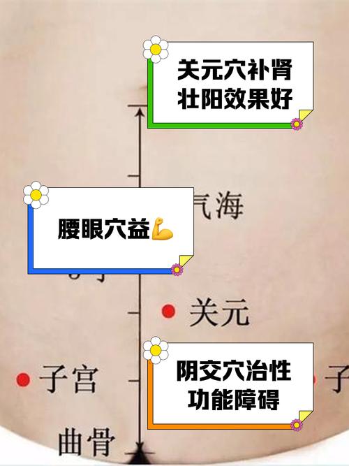 什么穴位可以提高性欲