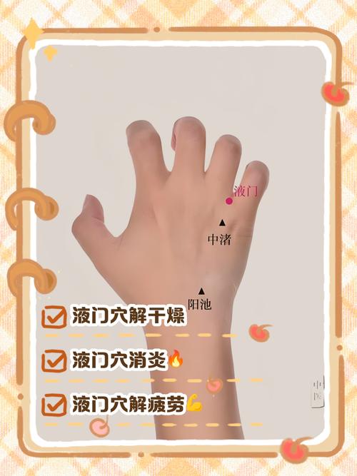 什么穴位可以提高性欲