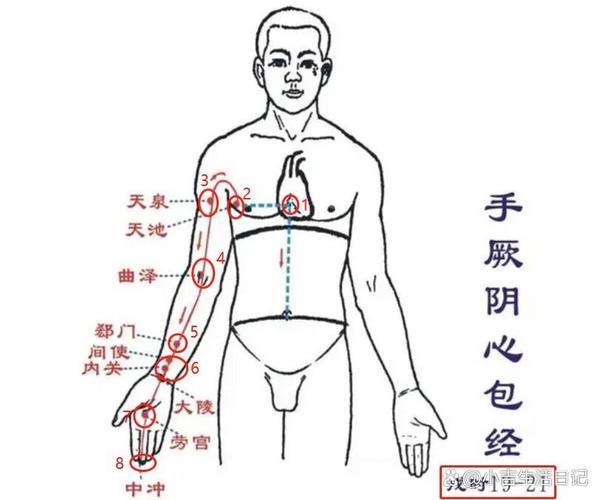 人体甲状腺按什么穴位