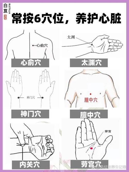 心率不齐按摩什么穴位