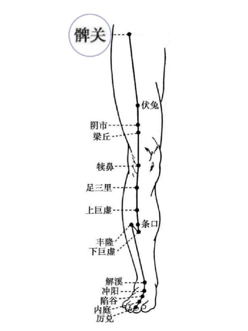 大腿外侧穴位按压刺痛