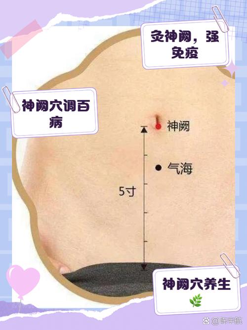 肚脐上面都有哪些穴位
