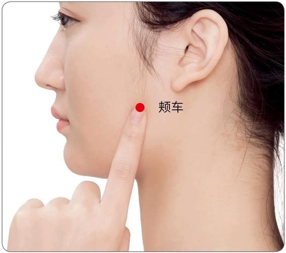 左边牙痛按摩什么穴位