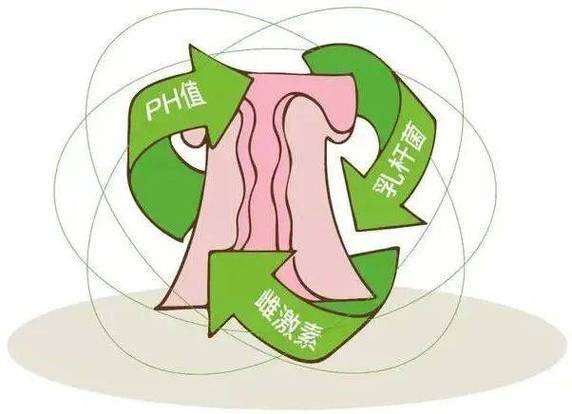 哪个穴位治疗阴道松弛