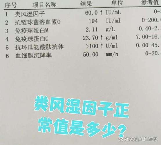 风湿4项中类风湿因子高