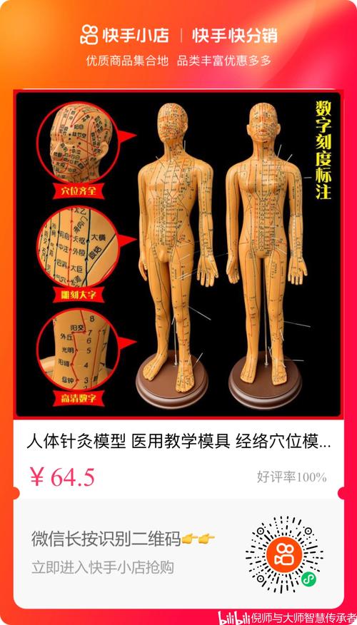 针灸穴位发光模型厂家