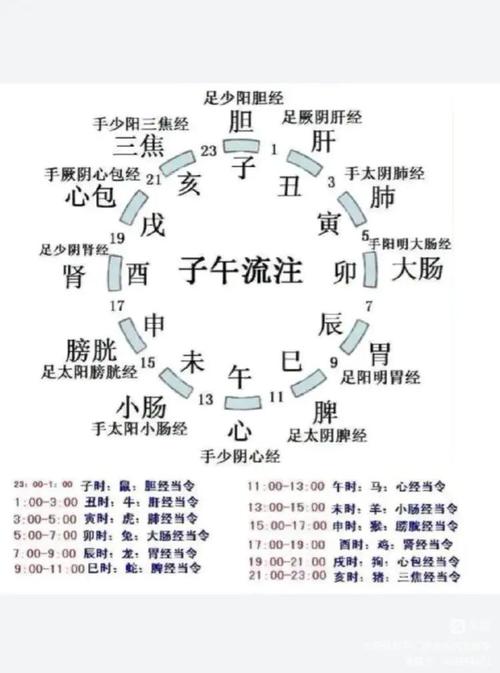 子午流注时辰对应穴位
