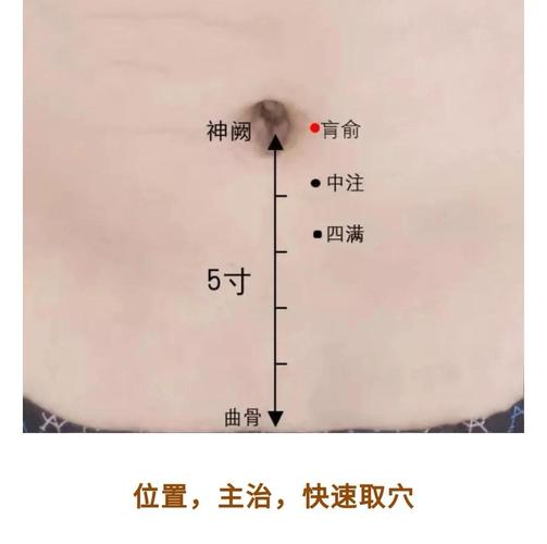 胃部不是针灸什么穴位