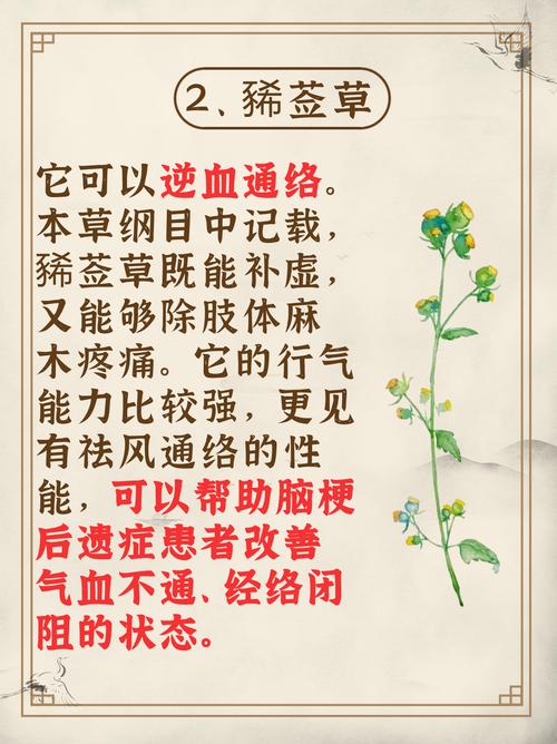 怎么预防脑梗心梗的中药