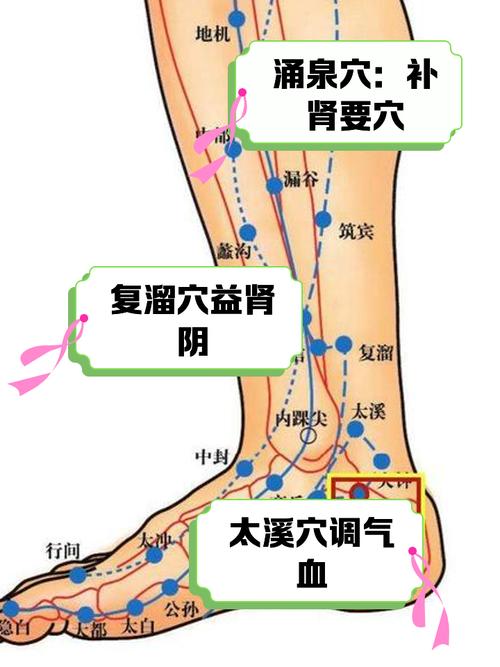 肾虚可以按摩什么穴位