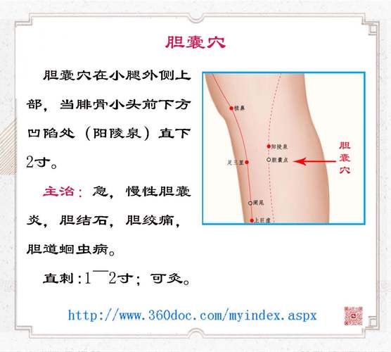 中医哪个穴位修复胰岛