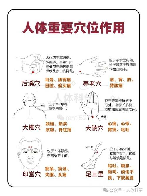 针灸可以同时几个穴位