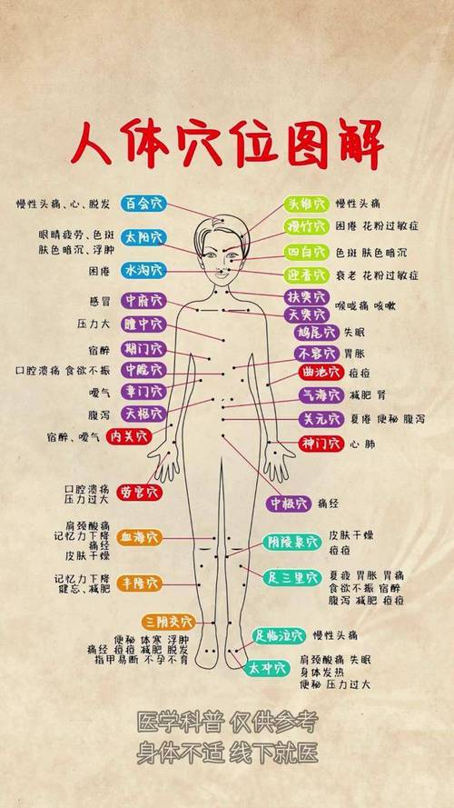 人体经脉分别多少穴位