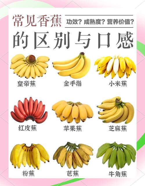 风湿类风湿可以吃香蕉吗