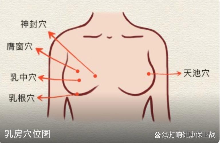 乳房胀痛按摩什么穴位